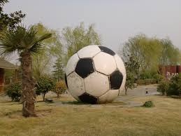 法媒：曼联夏窗曾想签马利克-福法纳，球员也想加盟但交易没成行